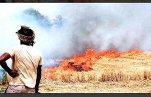 जिले में खेतों में नरवाई जलाने पर प्रतिबंध,कलेक्टर श्री सिंह ने जारी किया आदेश*